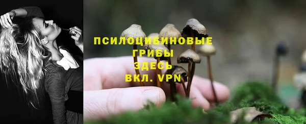 мяу мяу мука Балахна