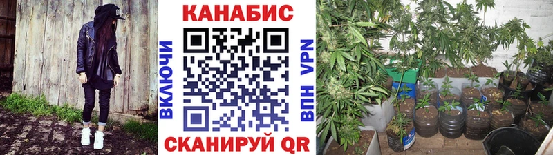 купить наркотики сайты  kraken ССЫЛКА  Марихуана семена  darknet Telegram  Давлеканово 